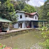 Freehold Malay Reserved Agriculture Land with Fruit Orchard for Sale in Dusun Tua Hulu Langat Selangor Malaysia