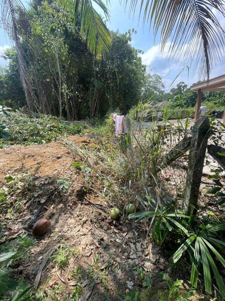 Bungalow Land Pasir Mas Kelantan for Sale | Kg Guntong Mukim Kiat | Freehold RM135K