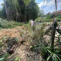 Bungalow Land Pasir Mas Kelantan for Sale | Kg Guntong Mukim Kiat | Freehold RM135K